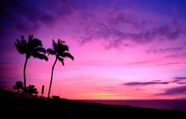 Wall Mural - Hawaiian Palm Trees at Sunset with Purple Sky on Big Island