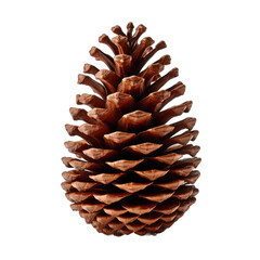 Wall Mural - Pinecone Decor isolated on transparent background