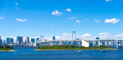 Wall Mural - Tokyo, Japan. The view of Tokyo from the popular sightseeing spot 