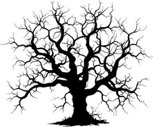 Black Silhouette Of A Gnarled Dry Tree On A White Background. A Tree Without Leaves. Lifeless Witchcraft Gloomy Tree. Halloween Graveyard Driftwood. Druids, Goblin And Witches. Vector Illustration.