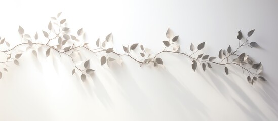 Sticker - White background with abstract silhouette shadow of tree branch and leaf in morning sunlight Space for text