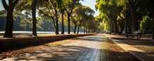 Empty Road In The Park With Trees  For Bicycles, Scooters, Walks And Running. Eco Friendly , Sustainable Travel Concept. Outdoor Rest With Family. Banner