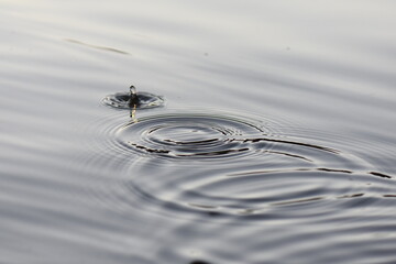 ripples in water