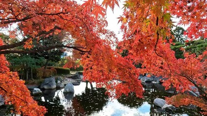 Sticker - Red trees by a reflecting lake with stones and bright sky