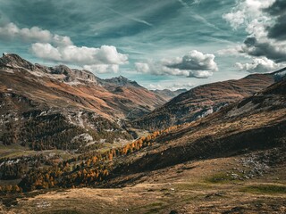 Sticker - Tranquil view of the Swiss Alps in Avers, with autumn trees and grass in the valley