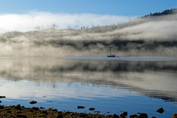 Canvas Print - Misty foggy summer morning in Winter Harbour, Vancouver Island, BC Canada.