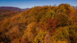Fall colors in the mountains in North Carolina
