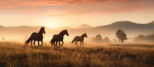 Sunrise Stroll Of Thoroughbred Equines In A Field