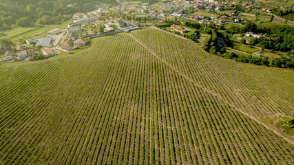 Sticker - Aerial view of a lush, expansive, green field, surrounded by trees