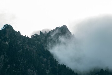 Sticker - An aerial shot of the rocky mountains covered with green forest