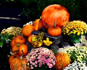 Canvas Print - many different flowers and fruit are on display with one pumpkin