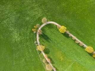 Poster - Aerial view of a rural landscape featuring a winding road surrounded by lush greenery and trees.