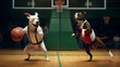 pit bull dogs basketball player in action