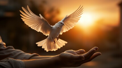 Wall Mural - Dove as a symbol of peace. Love and hope concept. Background with selective focus and copy space