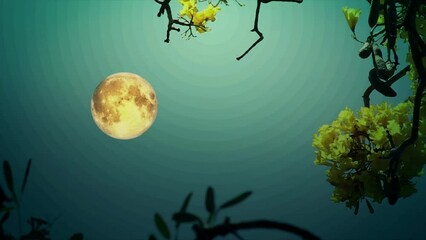 Wall Mural - Flower silhouette with Full Moon Background