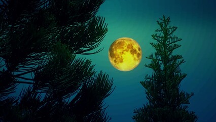 Wall Mural - Pine Tree Silhouette with full moon background