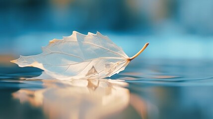 Poster - Generative AI : White transparent leaf on mirror surface with reflection on turquoise background macro. Artistic image of ship in water of lake. Dreamy image nature, free space
