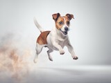 Fototapeta Zwierzęta - Generative AI : Portrait of cute playful puppy of Jack Russell Terrier in motion, jumping isolated over white studio background