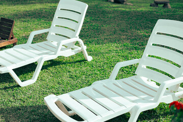 two chairs in the garden