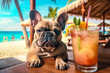 French bulldog dog with sunglasses and cocktail on the beach, summer time
