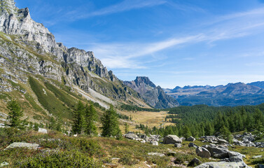 Poster - View at the beautiful meadows, forest and mountains near Alpe Devero.