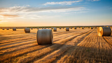 Depict A Vast Hay Field Stretching Out Towards The Horizon, Punctuated With Round Bales Of Straw Freshly Rolled Up.