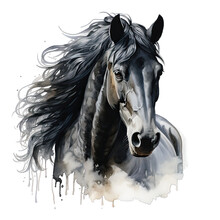 Black Horse Portrait Watercolor Clipart On Transparent Background. Generative AI Illustration