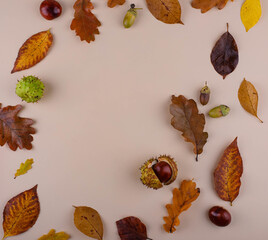 Wall Mural - Autumn background with dry leaves.