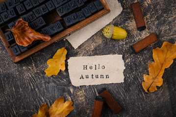 Wall Mural - Autumn background with dry leaves.