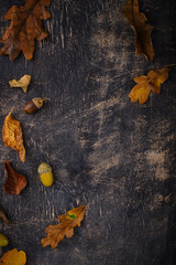 Wall Mural - Autumn background with dry leaves.