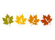 Logo con letras palabra Fall en siluetas de hojas de arce en paleta de gradiente de colores. Concepto de cambio de temporada de otoño