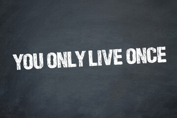 Wall Mural - You only live once	