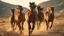 Horses In Full Gallop Across A Dusty Field
