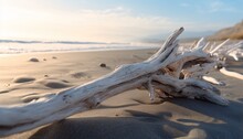 A Weathered Piece Of Driftwood Resting On A Serene Sandy Beach