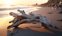 A Weathered Piece Of Driftwood Resting On A Sandy Beach