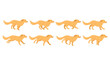 © Maria Sedaya - Golden retriever cycle of a dog running animation. Stop motion sequence, frames, 2D