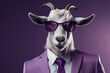 Businessman portrait of goat in suit and tie on isolated Purple background