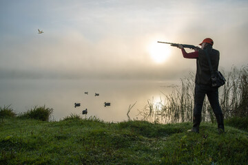 Wall Mural - hunter shooting to the flying duck. hunting season.