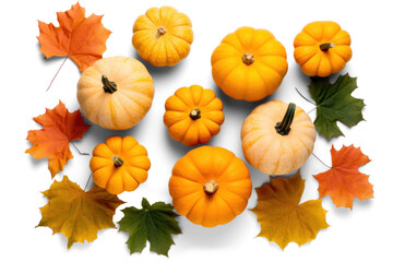 Wall Mural - pumpkin with maple leaves, png file of isolated cutout object with shadow on transparent background.