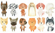 Set of watercolor dogs - doberman, dalmatian, german boxer, corgi, dachshund and other.