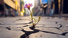 A Resilient Flower Pushing Through A Crack In The Ground