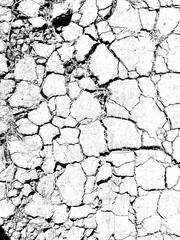 natural dry soil. cracked earth texture