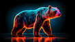 Illuminated bear neon lights