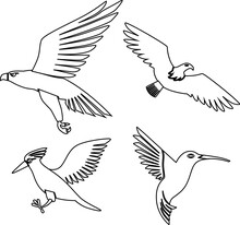 Collection Of Birds Vector File
