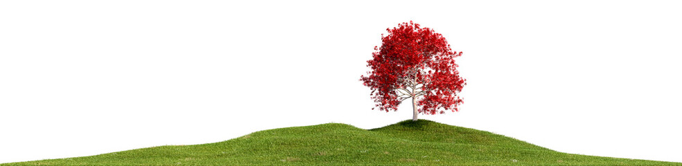 Leinwandbilder - Red maple tree with meadow field PNG 3d file ready to sky replacement transparent background, 3d illustration rendering