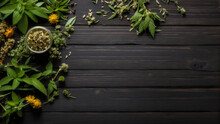 Natural Herbal Plant Medicine Over Black Wooden Table Background. Backdrop With Copy Space