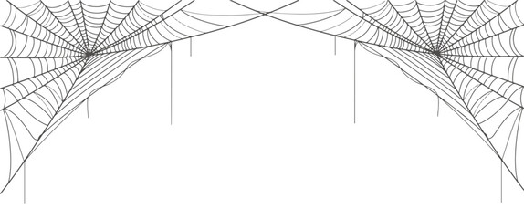 Wall Mural - Vector line of spider web, halloween background