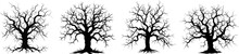 Dry Trees Black And White Hand Drawn Illustrations Set. Twisted Bare Branches, Roots Silhouettes Isolated On White Background. Old And Dead Tree With Face On Trunk. Halloween Botanical Design Element.