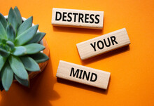 Destress Your Mind Symbol. Concept Words Destress Your Mind On Wooden Blocks. Beautiful Orange Background With Succulent Plant. Psychology And Destress Your Mind Concept. Copy Space.