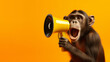 Monkey with a megaphone on a yellow background.
